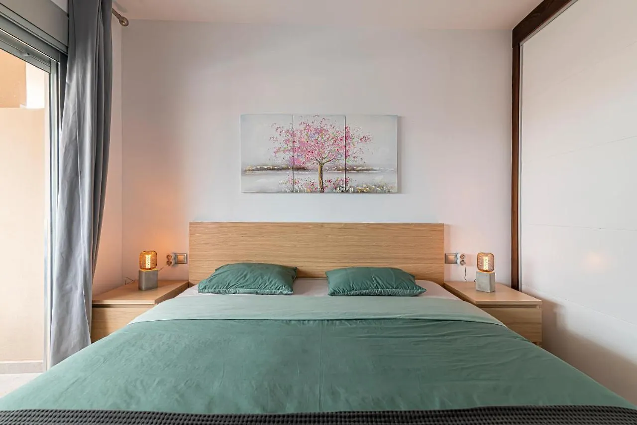 Go2Tenerife Apart'Madera Terrace, Swimming Pool & Parking Costa Adeje